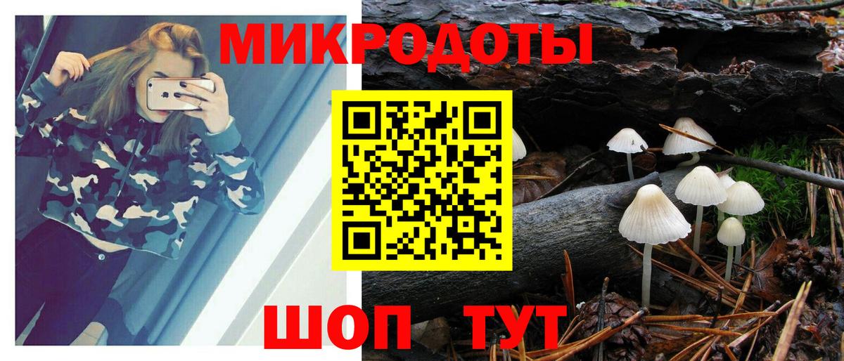 Псилоцибиновые грибы GOLDEN TEACHER  Вход с VPN  Ржев 